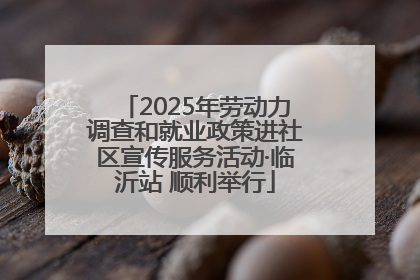 2025年劳动力调查和就业政策进社区宣传服务活动·临沂站 顺利举行
