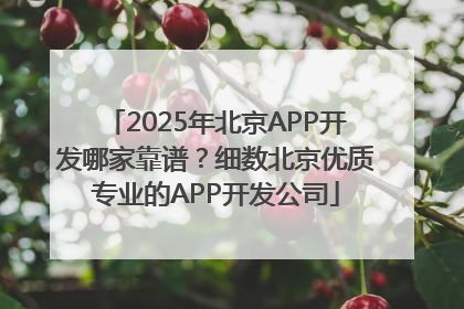 2025年北京APP开发哪家靠谱？细数北京优质专业的APP开发公司