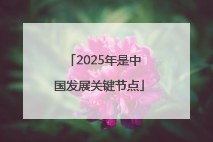 2025年是中国发展关键节点
