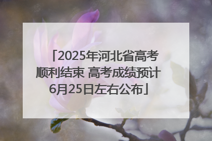 2025年河北省高考顺利结束 高考成绩预计6月25日左右公布