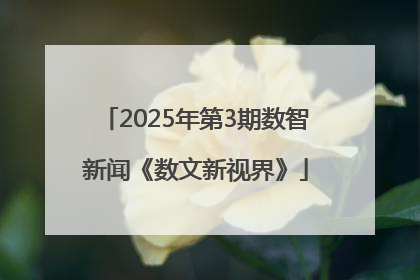 2025年第3期数智新闻《数文新视界》