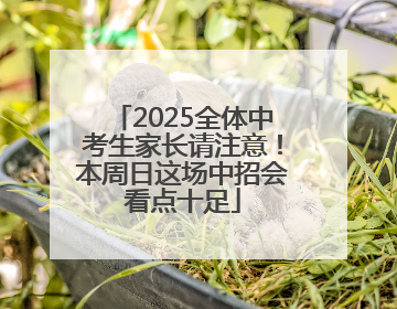 2025全体中考生家长请注意！本周日这场中招会看点十足