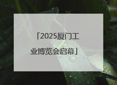 2025厦门工业博览会启幕