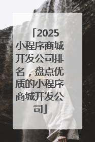 2025小程序商城开发公司排名，盘点优质的小程序商城开发公司