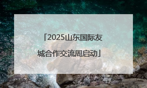 2025山东国际友城合作交流周启动