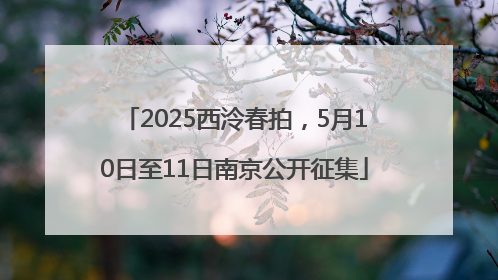 2025西泠春拍，5月10日至11日南京公开征集