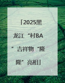 2025黑龙江“村BA”吉祥物“隆隆”亮相