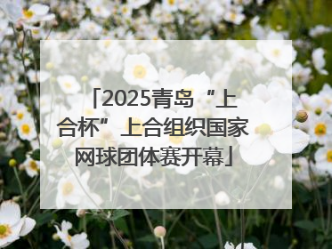 2025青岛“上合杯”上合组织国家网球团体赛开幕