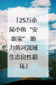 25万余尾小鱼“安新家” 助力黄河流域生态良性循环