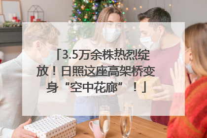 3.5万余株热烈绽放！日照这座高架桥变身“空中花廊”！