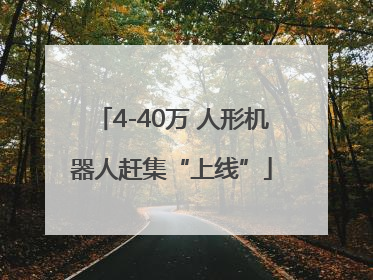 4-40万 人形机器人赶集“上线”