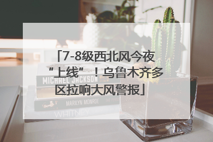 7-8级西北风今夜“上线”！乌鲁木齐多区拉响大风警报