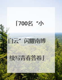 700名“小白云”闪耀南博续写青春答卷