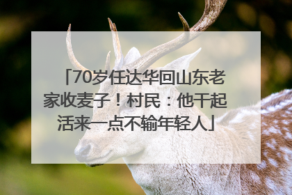 70岁任达华回山东老家收麦子！村民：他干起活来一点不输年轻人
