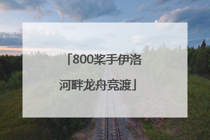 800桨手伊洛河畔龙舟竞渡