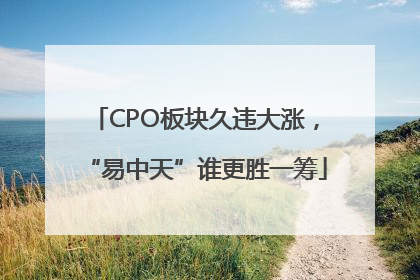 CPO板块久违大涨，“易中天”谁更胜一筹