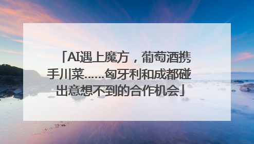 AI遇上魔方，葡萄酒携手川菜……匈牙利和成都碰出意想不到的合作机会