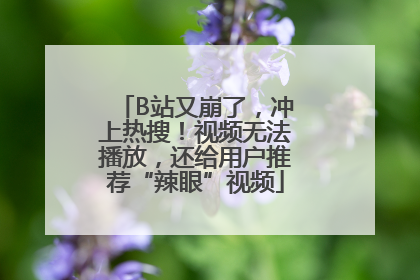 B站又崩了，冲上热搜！视频无法播放，还给用户推荐“辣眼”视频