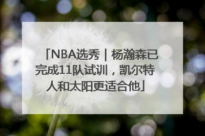 NBA选秀｜杨瀚森已完成11队试训，凯尔特人和太阳更适合他
