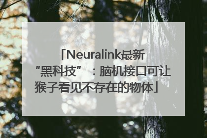 Neuralink最新“黑科技”：脑机接口可让猴子看见不存在的物体