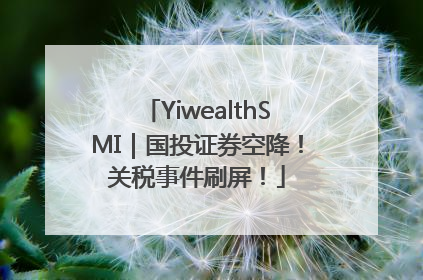 YiwealthSMI｜国投证券空降！关税事件刷屏！
